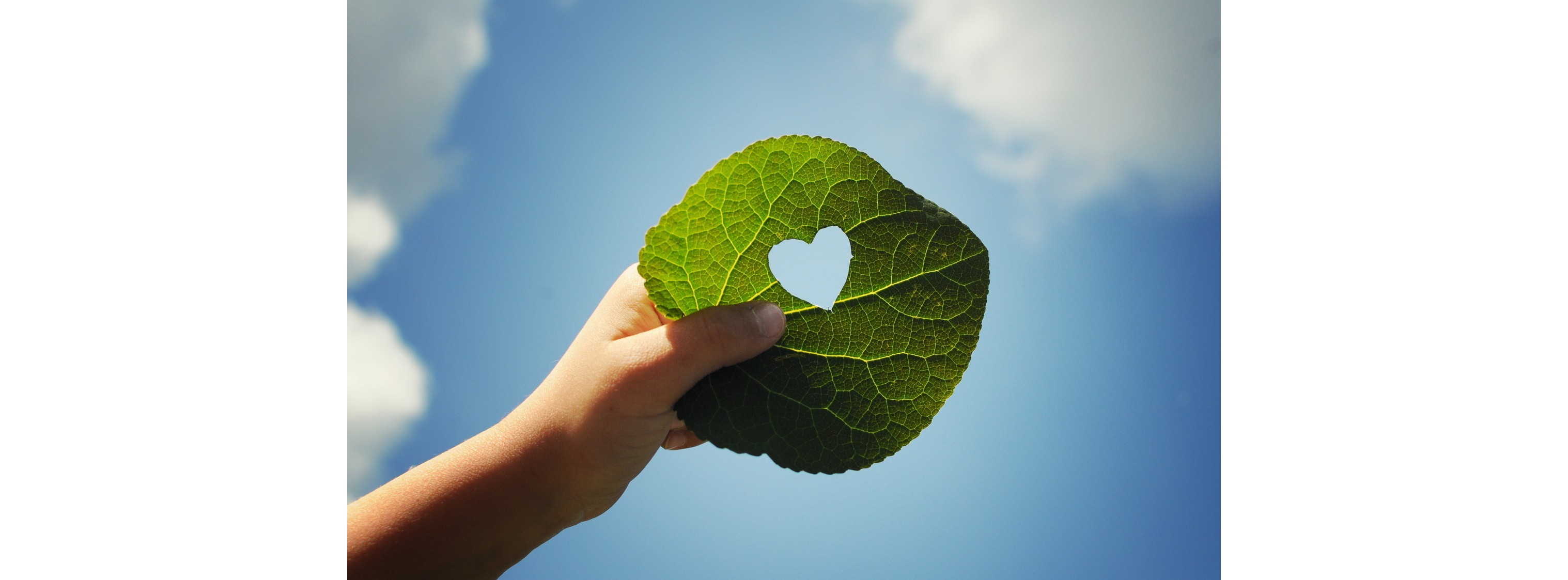 Energie & Management > Klimaschutz - Sagen Sie mal: Bertrandt van Ee