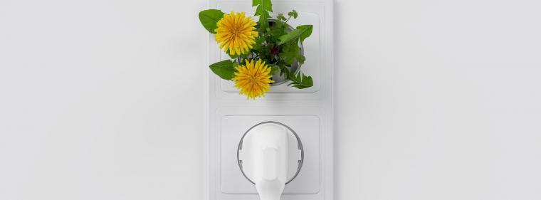 Energie & Management > Klimaschutz - Umweltverbände fürchten Rückschritte