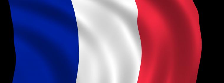 Energie & Management > Frankreich - Quallen legen größtes französisches Kernkraftwerk lahm