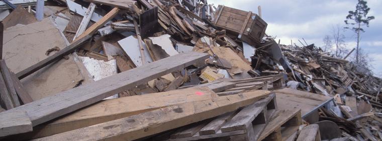 Energie & Management > KWK - Altholzkraftwerk lässt Strompreis sinken