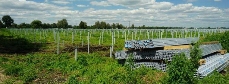 Energie & Management > Photovoltaik - Solarpioniere fordern eine Industriestrategie