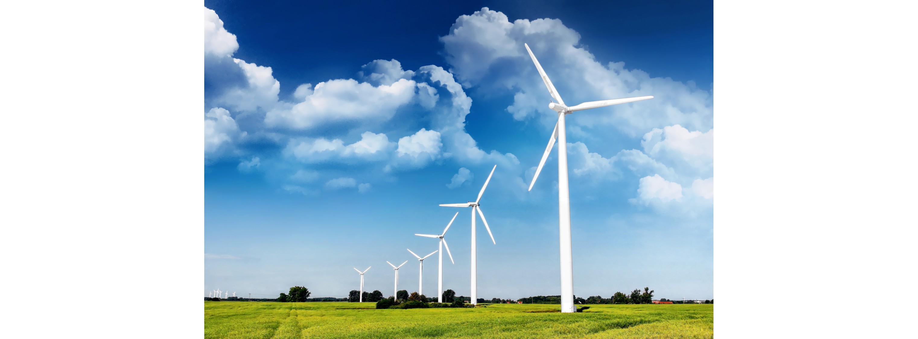 Energie & Management > Windkraft - Stromernte über den Wipfeln