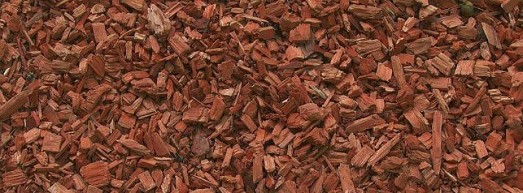 Energie & Management > Wärme - Geringer Preisanstieg bei Holzhackschnitzeln