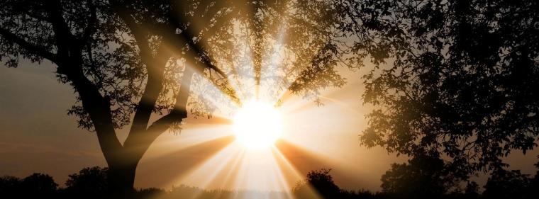 Energie & Management > E-World - Wärmewende und Netzausbau als Herausforderung 