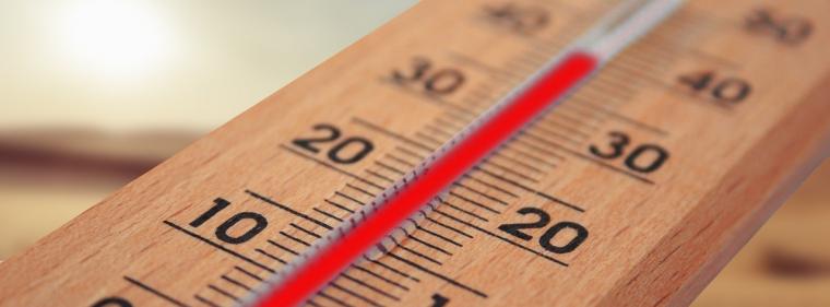 Energie & Management > Politik - UN-Chef warnt: 