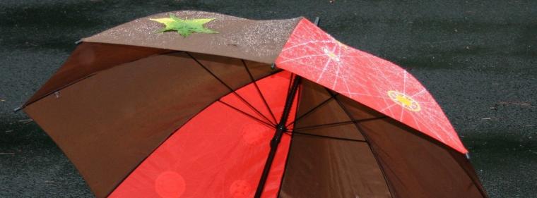 Energie & Management > Niedersachsen - Niedersachsen spannt Milliarden-Rettungsschirm