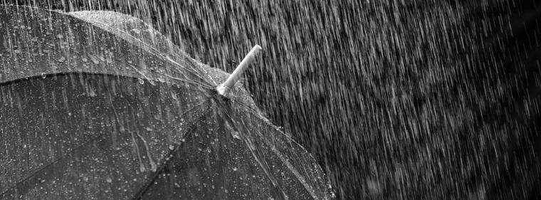 Energie & Management > Stadtwerke - VKU fordert Schutzschirm für Stadtwerke