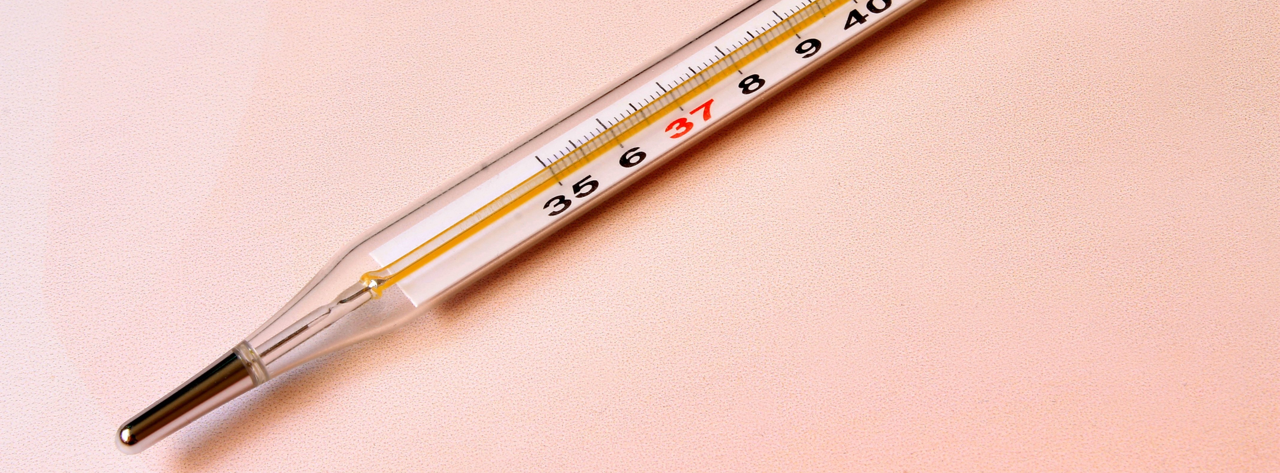 Energie & Management > Wirtschaft - Fachkräftemangel bleibt Wachstumsbremse