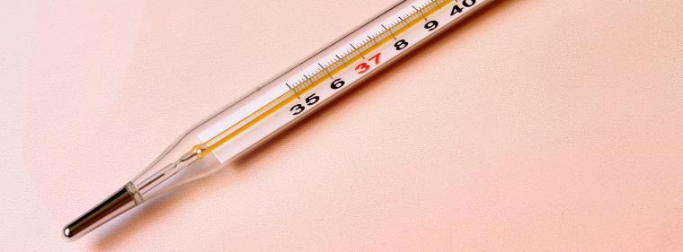 Energie & Management > Wirtschaft - Fachkräftemangel bleibt Wachstumsbremse