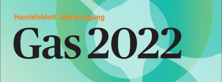 Energie & Management > Gas - Europäische Zweiklassengesellschaft bei Gaspreisen