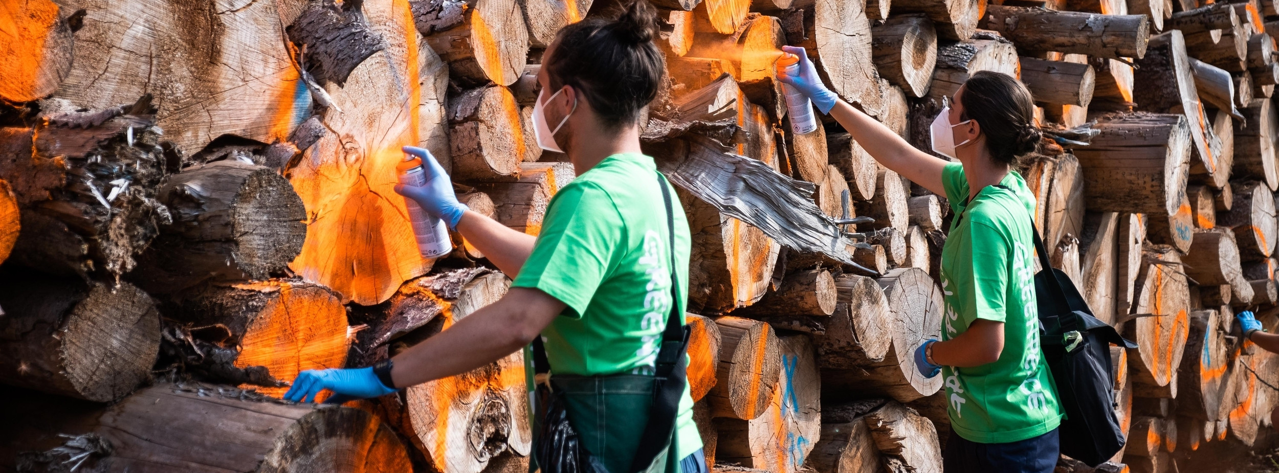 Energie & Management > Holz - Greenpeace-Aktion gegen Holzkraftwerke