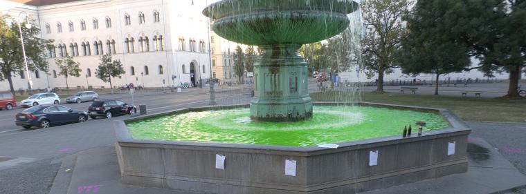 Energie & Management > Gas - Aufsehenerregende Aktion gegen LNG