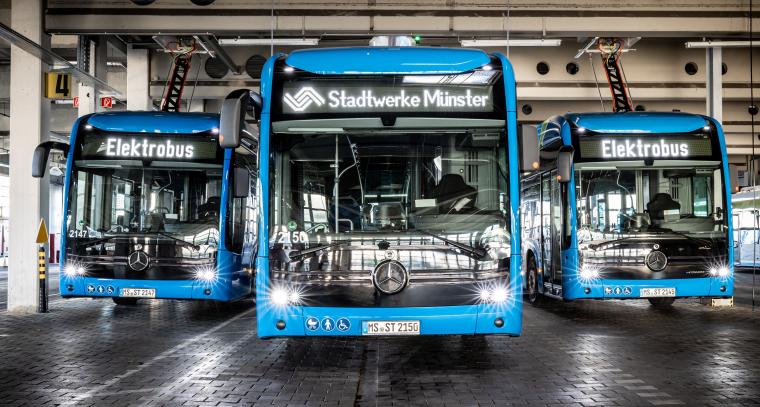 Energie & Management > Elektrofahrzeuge - E-Bus-Flotte in Münster wächst weiter