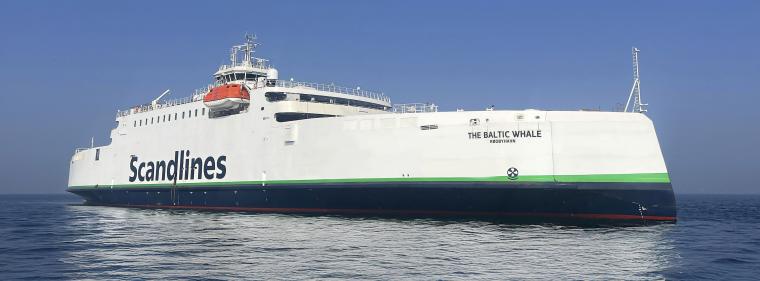 Energie & Management > Elektrofahrzeuge - Elektrisch auf der Vogelfluglinie