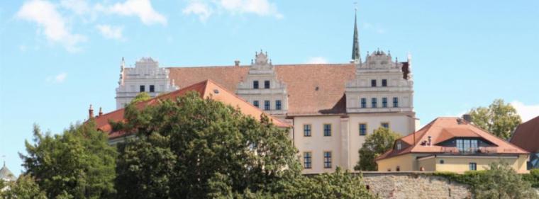 Energie & Management > Recht - Windkraft-Projektierer hat vor sächsischem Gericht Erfolg