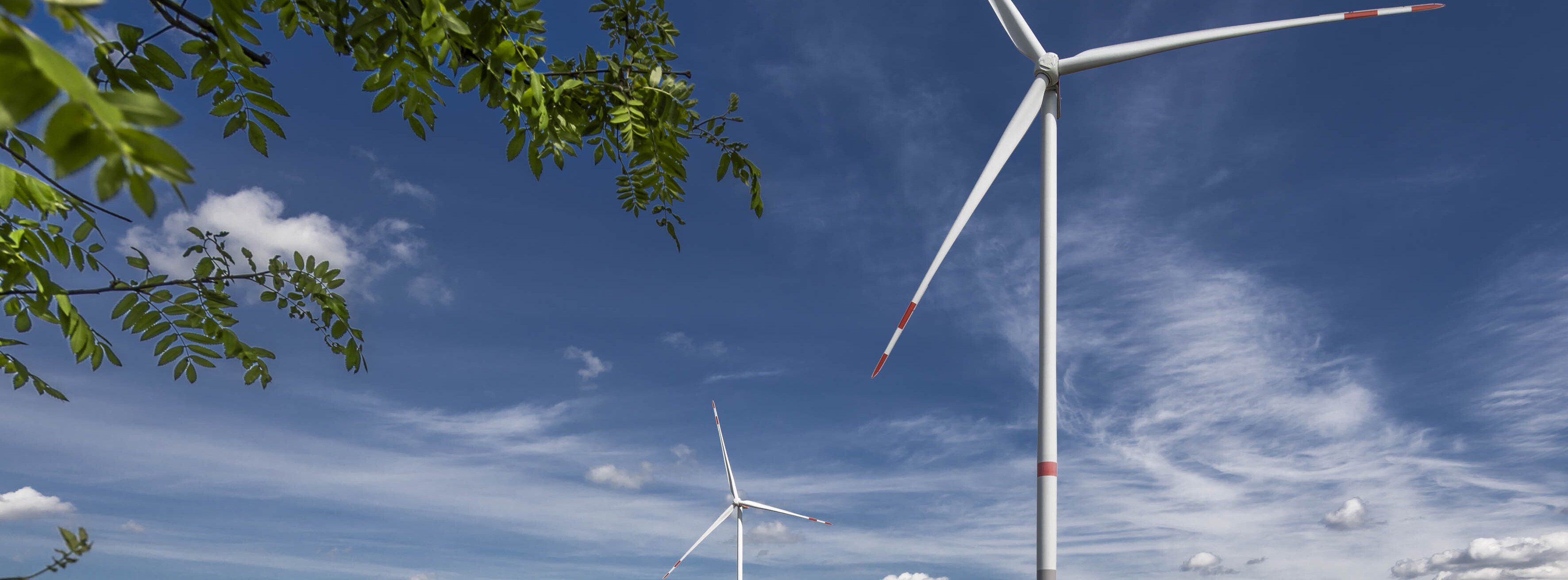 Energie & Management > Windkraft Onshore - Trianel errichtet ersten Windpark in Schleswig-Holstein
