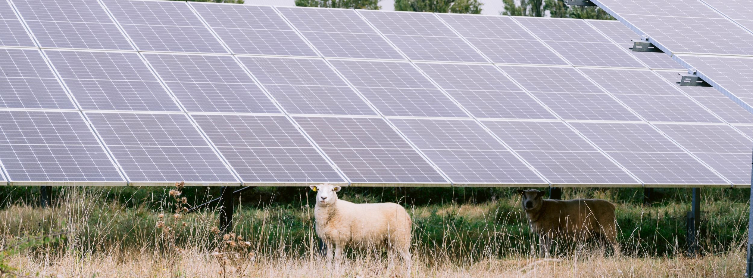 Energie & Management > Photovoltaik - Baywa Re bereinigt Portfolio