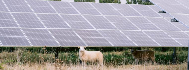 Energie & Management > Photovoltaik - Baywa Re bereinigt Portfolio