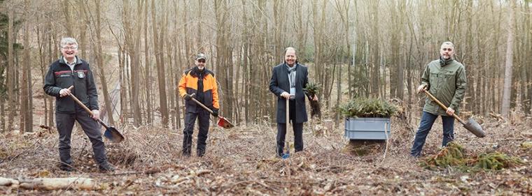 Energie & Management > Vertrieb - Gut fürs Geschäft, gut für den Wald