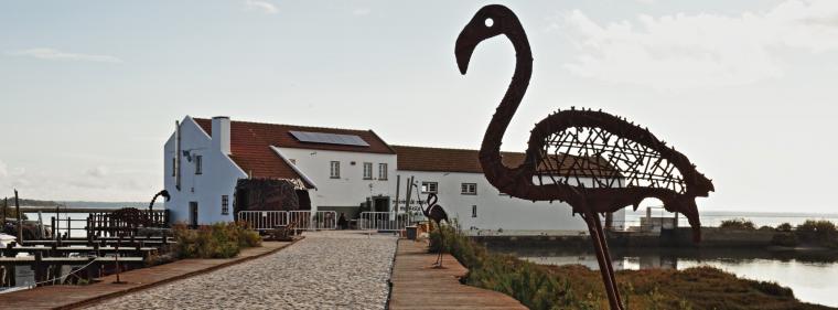 Energie & Management > Wasserstoff - Wasserstoff aus Sonne und Meer