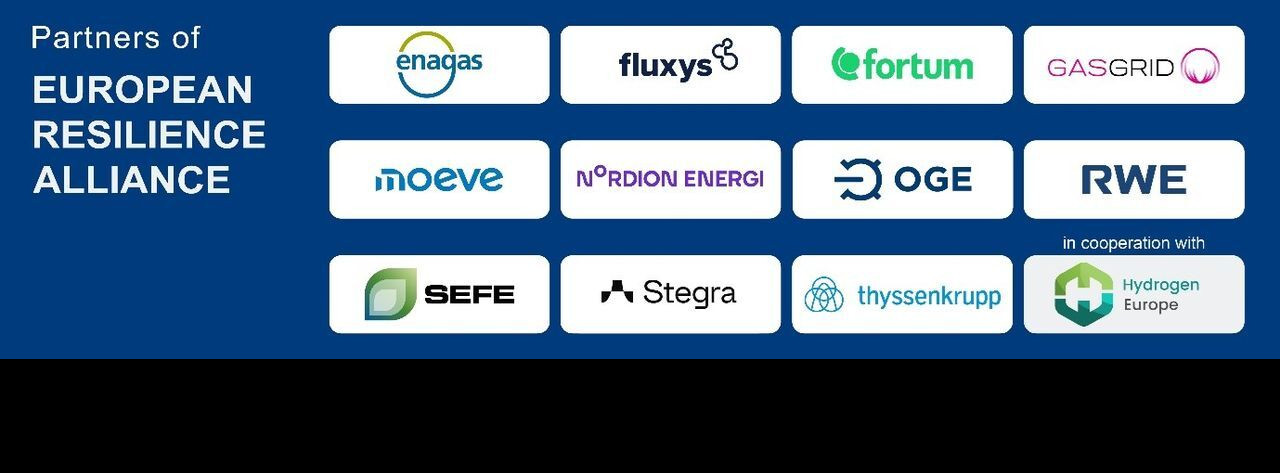 Energie & Management > Wasserstoff - Eine Allianz für Europas Wasserstoffinfrastruktur