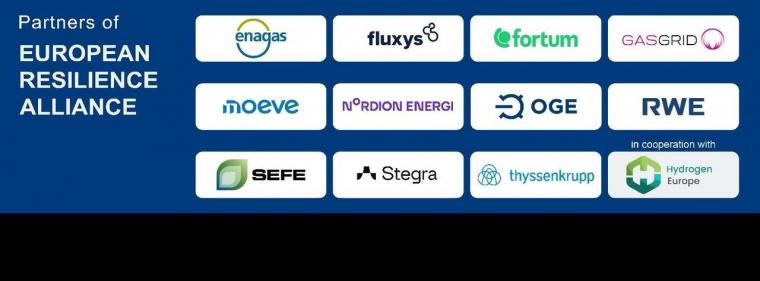 Energie & Management > Wasserstoff - Eine Allianz für Europas Wasserstoffinfrastruktur