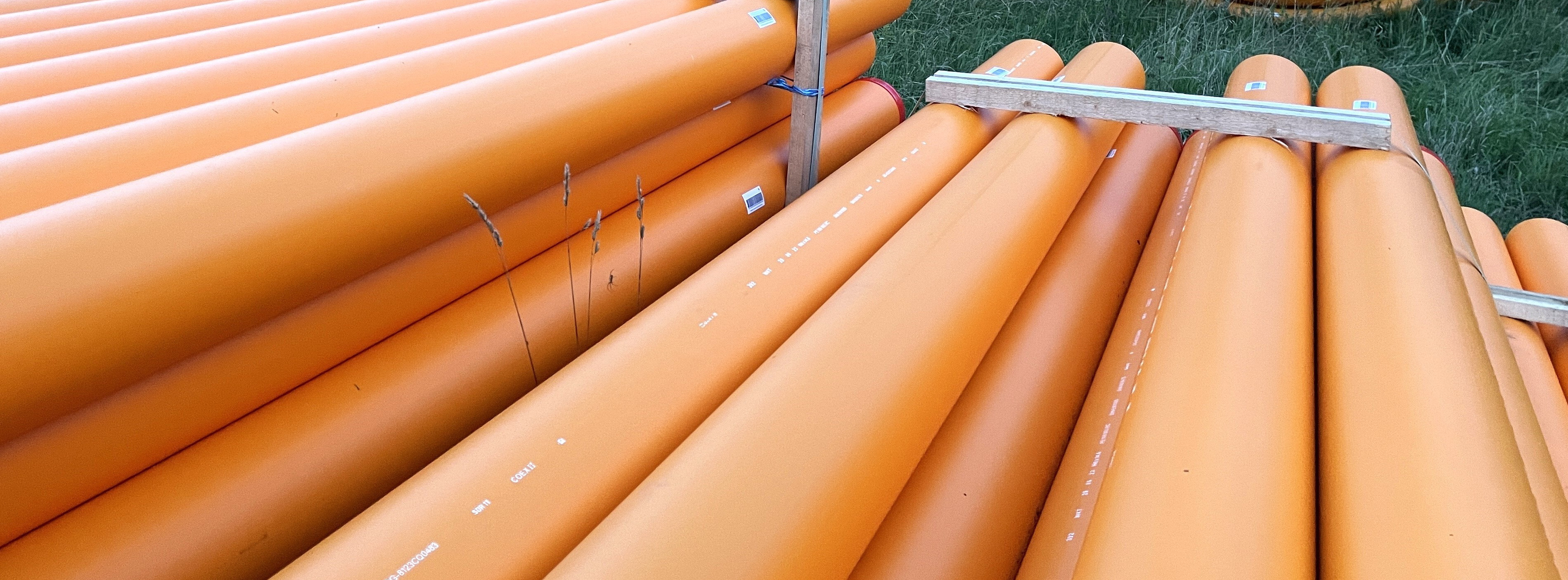 Energie & Management > Gas - Bayernwerk erweitert Grüngasring